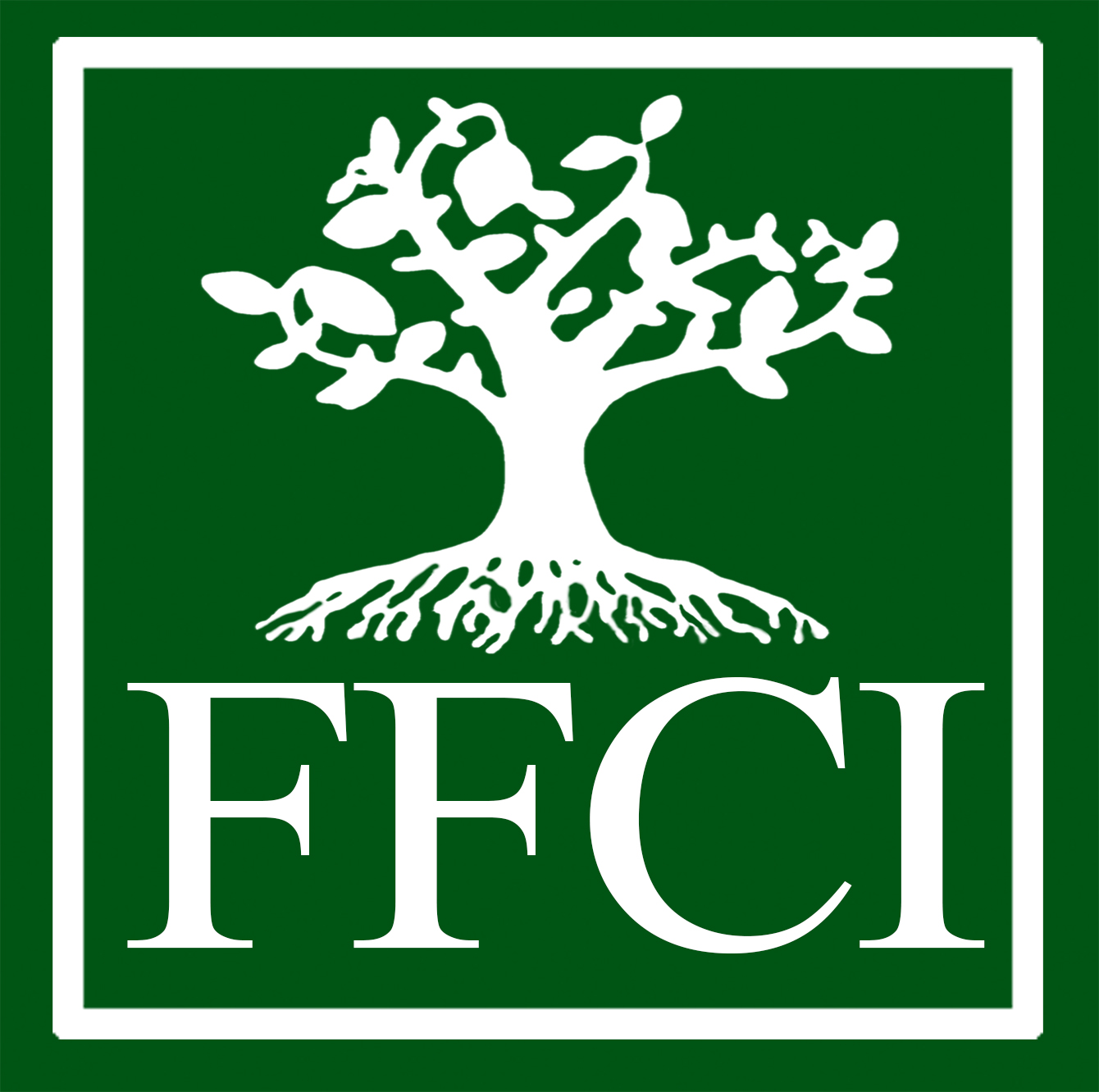 FFCI Logo